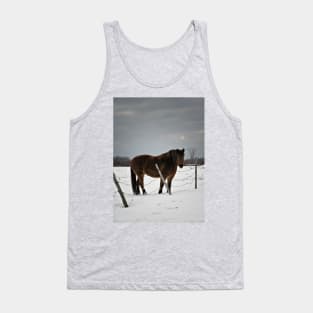 Horse in Winter Tank Top